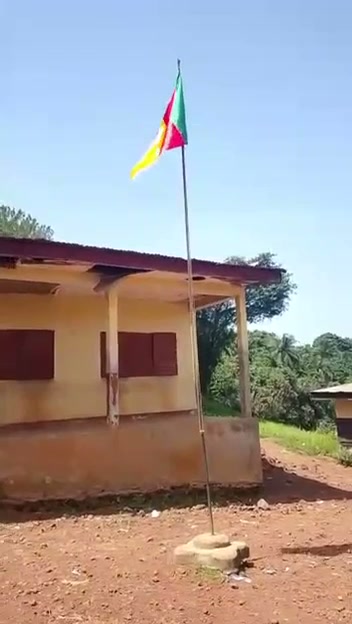 Vue complète de l'école avec drapeau camerounais